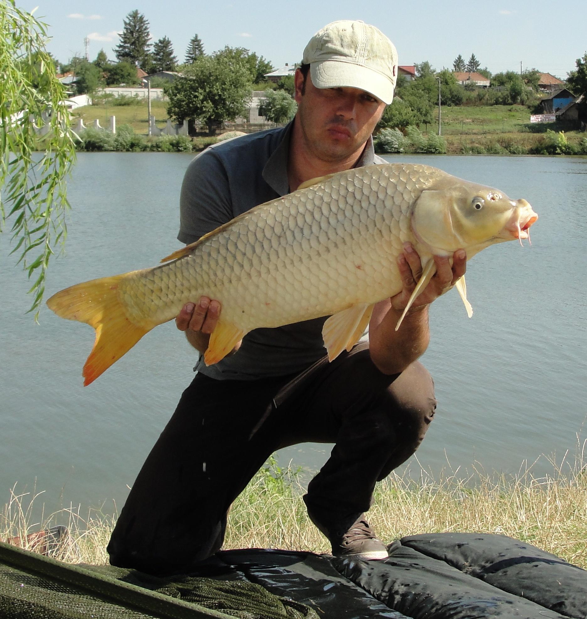 Moara Vlasiei 15.08.2012 - dsc06860revu.jpg